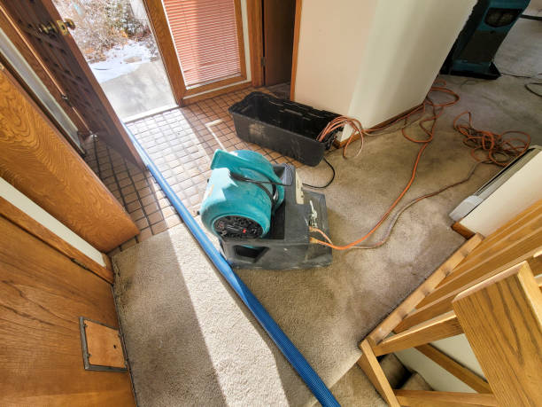 Best Water damage restoration near me  in Marshall, TX