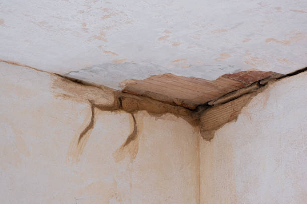 Best Sewage cleanup and water damage restoration  in Marshall, TX