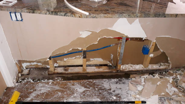 Best Local water damage restoration  in Marshall, TX