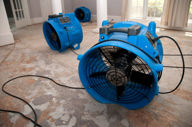 Best Water damage restoration near me  in Marshall, TX