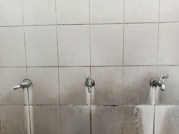 Best Professional water damage repair  in Marshall, TX