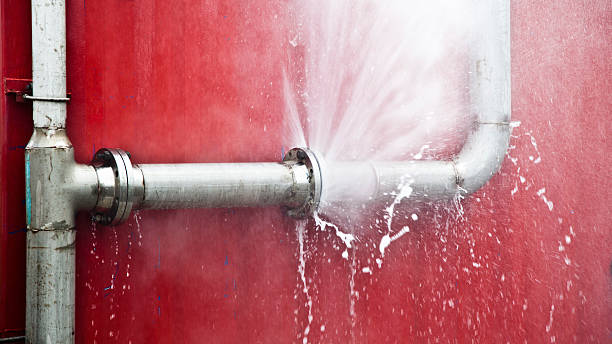 Best Flooded house restoration  in Marshall, TX
